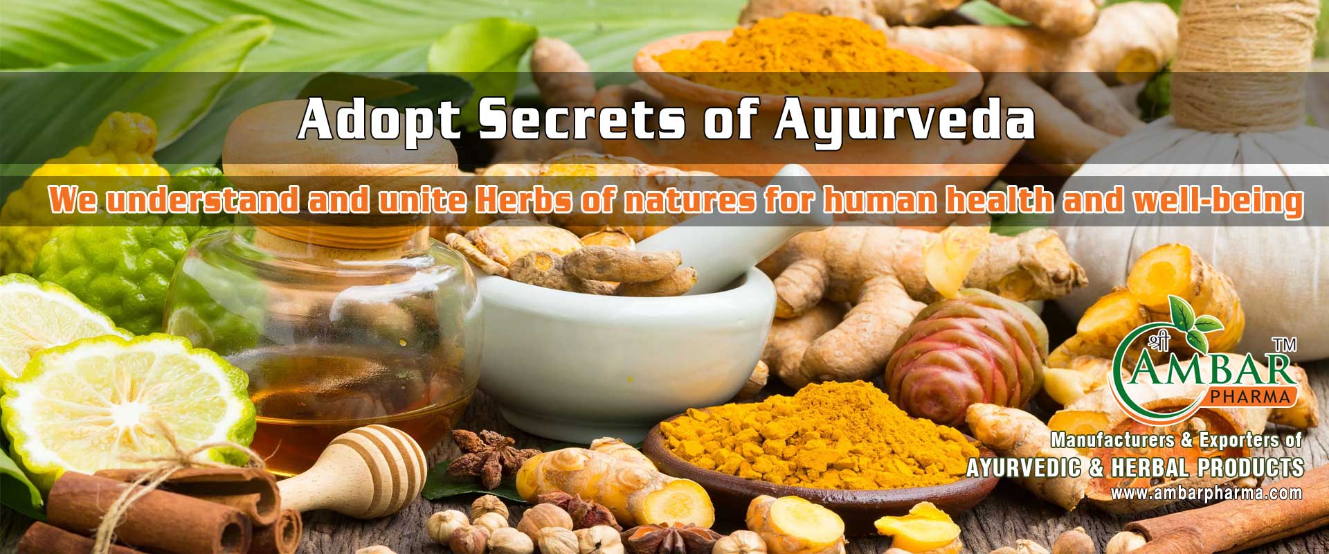 Ayurvedic Herbal Health Care Products manufacturers in Kanpur Herbal Ayurvedic Medicine PCD in Kanpur suppliers UP India